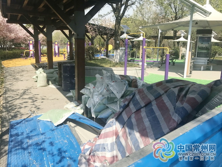记者调查：青枫公园健身广场地坪重复施工？b体育官网